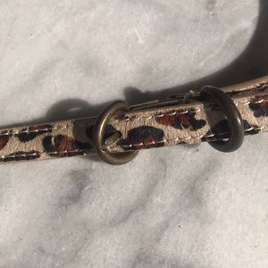 J. Crew Accessories - J. Crew belt J. Crew Accessories - J. Crew belt